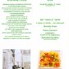 Brunella Rossi - Joia-equilibrio semplice