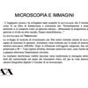 Foto33