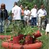 PINC-Eugenia scaglione