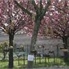Parco Nord-Alice bertelli