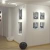 RACCOLTO DANZANTE - Mostra Personale di Topylabrys