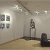 RACCOLTO DANZANTE - Mostra Personale di Topylabrys