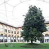 Arte da Mangiare - Olio Officina Food Festival