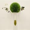 Arte da Mangiare - Olio Officina Food Festival