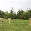 DEPURRT LAB GALLERY - Orti d'Arte e Picnic d'Artista - Almasio/Mittino