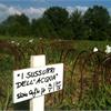 DEPURRT LAB GALLERY - Orti d'Arte e Picnic d'Artista - Capiluppi
