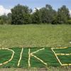 DEPURRT LAB GALLERY - Orti d'Arte e Picnic d'Artista - Borgese