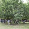 NATURARTE - NATURA MADRE A BERTONICO
