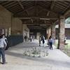 NATURARTE - NATURA MADRE A BERTONICO