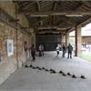 NATURARTE - NATURA MADRE A BERTONICO