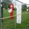 DEPURRT LAB GALLERY - Orti d'Arte e Picnic d'Artista - Dente