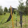 DEPURRT LAB GALLERY - Orti d'Arte e Picnic d'Artista - Tornaghi