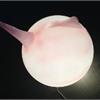PARADOSSI PLASTICI  -  Mostra di topylabrys, al secolo Ornella Piluso