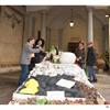PARADOSSI PLASTICI  -  Mostra di topylabrys, al secolo Ornella Piluso