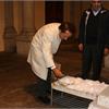 PARADOSSI PLASTICI - L'Orto della Bellezza Italiana
