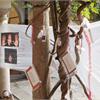 IL TEMPO DELLA SEMINA - 12 / 13 Ottobre 2013 - Interventi d'Arte