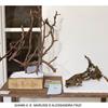 SILENZIO mini installazioni con la materia alimentare del Sale _ Gianni Ettore Andrea Marussi, Alessandra Finzi