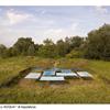 Depurart Lab Gallery_III raccolto_topylabrys