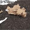 Tavola d'Arte: nel giardino dell'Arte e del Silenzio i Platani seminano valori per noi. Installazione di Monica Scardecchia per Arte da mangiare mangiare Arte_dettaglio