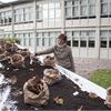 Semina della Tavola d'Arte: nel giardino dell'Arte e del Silenzio i Platani seminano valori per noi. Installazione di Monica Scardecchia per Arte da mangiare mangiare Arte