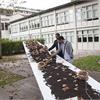 Semina della Tavola d'Arte: nel giardino dell'Arte e del Silenzio i Platani seminano valori per noi. Installazione di Monica Scardecchia per Arte da mangiare mangiare Arte