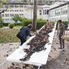 Semina della Tavola d'Arte: nel giardino dell'Arte e del Silenzio i Platani seminano valori per noi. Installazione di Monica Scardecchia per Arte da mangiare mangiare Arte