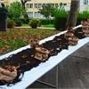 Tavola d'Arte: Nel giardino dell'Arte e del Silenzio i platani seminano valori per noi