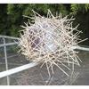 Vito Giacummo_Mini installazione per Panettone Party 2014