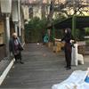 Mostra Bellezza Etica