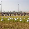 Foto Installazioni