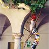 Installazione Genoma