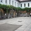 glicini 2