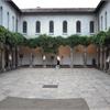 glicini 3