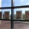 Museo e performance23